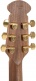2087GT Deep Contour Cutaway Reverse Beige Burst