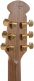 1687GT Deep Non-Cutaway Noir