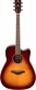 Fgc-Ta Brown Sunburst