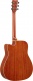 Fgc-Ta Brown Sunburst