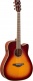 Fgc-Ta Brown Sunburst