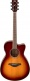 Fsc-Ta Brown Sunburst
