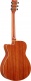 Fsc-Ta Brown Sunburst