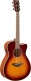 Fsc-Ta Brown Sunburst