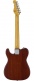 Tribute Asat Special Irish Ale Rw - B Stock