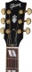 Hummingbird Standard Rosewood Rosewood Burst