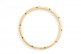 SC-1410WSS HOLZSPANNREIFEN - 10 LUGS (SNARE SIDE)