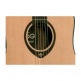 T500Dce Dreadnought Ctw - Stock B