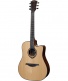 T500Dce Dreadnought Ctw - Stock B