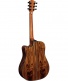 T500Dce Dreadnought Ctw - Stock B