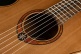 Escapade Nylon Red Cedar Acoustic Electric