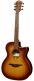 Tramontane T118ACE-BRS Auditorium Ctw Brown Shadow
