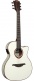 Tramontane T118ASCE-Ivo Auditorium Slim Ctw Electro Ivory - Stock B