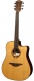 Tramontane T118Dce Dreadnought Ctw