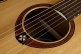 Tramontane T170D Dreadnought