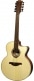 TRAMONTANE T177J12CE JUMBO 12 STRINGS