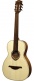 Tramontane T177PE Parlor 12 Cases Électro