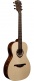 Tramontane T270Pe Parlor 14 Cases
