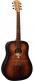 Tramontane T70D-B&B Dreadnought Black & Brown