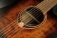 TRAMONTANE T70DCE-B&B DREADNOUGHT CTW BLACK & BROWN