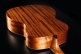 Tramontane T88A Auditorium Natural High Gloss