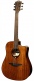 Tramontane T98Dce Dreadnought Ctw