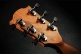 Tramontane Tl70Dce-Nat Dreadnought Lh Ctw Natural