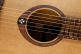 Travel Red Cedar E
