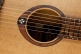 Travel Red Cedar E