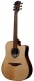 HYVIBE 10 DREADNOUGHT CTW