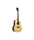Hyvibe 20 Dreadnought Ctw - Stock B