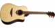 HYVIBE 20 DREADNOUGHT CTW