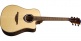Hyvibe 20 Dreadnought Ctw - Stock B