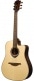 HYVIBE 20 DREADNOUGHT CTW