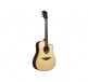 HYVIBE 30 DREADNOUGHT CTW