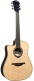 HyVibe 1 Série 30 Dreadnought Ctw Lh