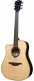HyVibe 1 Série 30 Dreadnought Ctw Lh