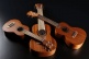 Tiki Tkt8 Baby Guitar