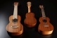 Tiki Tku8C Ukulele Concert