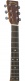 SC-10E Epicéa/Sapele