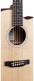 000 Cutaway Epicea Sitka - Sapele