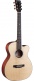 000 Cutaway Epicea Sitka - Sapele