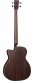 Basse Acoustique Bc-16E - Stock B