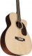 BASSE ACOUSTIQUE BC-16E