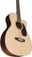 Basse Acoustique Bc-16E - Stock B