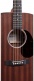 Dreadnought Sapele-Sapele - Stock B