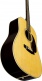 D-28E (Fishman Matrix Infinity)