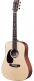 Dreadnough Junior Électro-Acoustique Lh