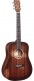 DREADNOUGHT JUNIOR STREETMASTER ELECTROACOUSTIQUE