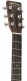 DREADNOUGHT JUNIOR